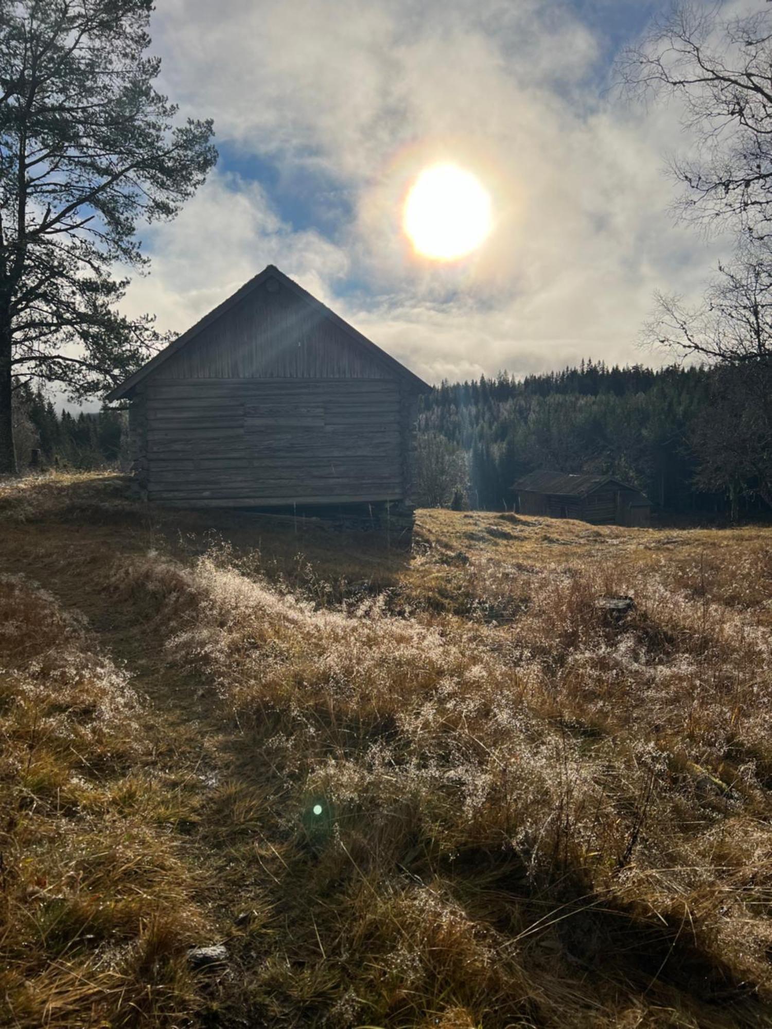 Villa Granhede -Sjoelaege Med Badtunna, Eldstad Med Mera Torsby Exterior foto
